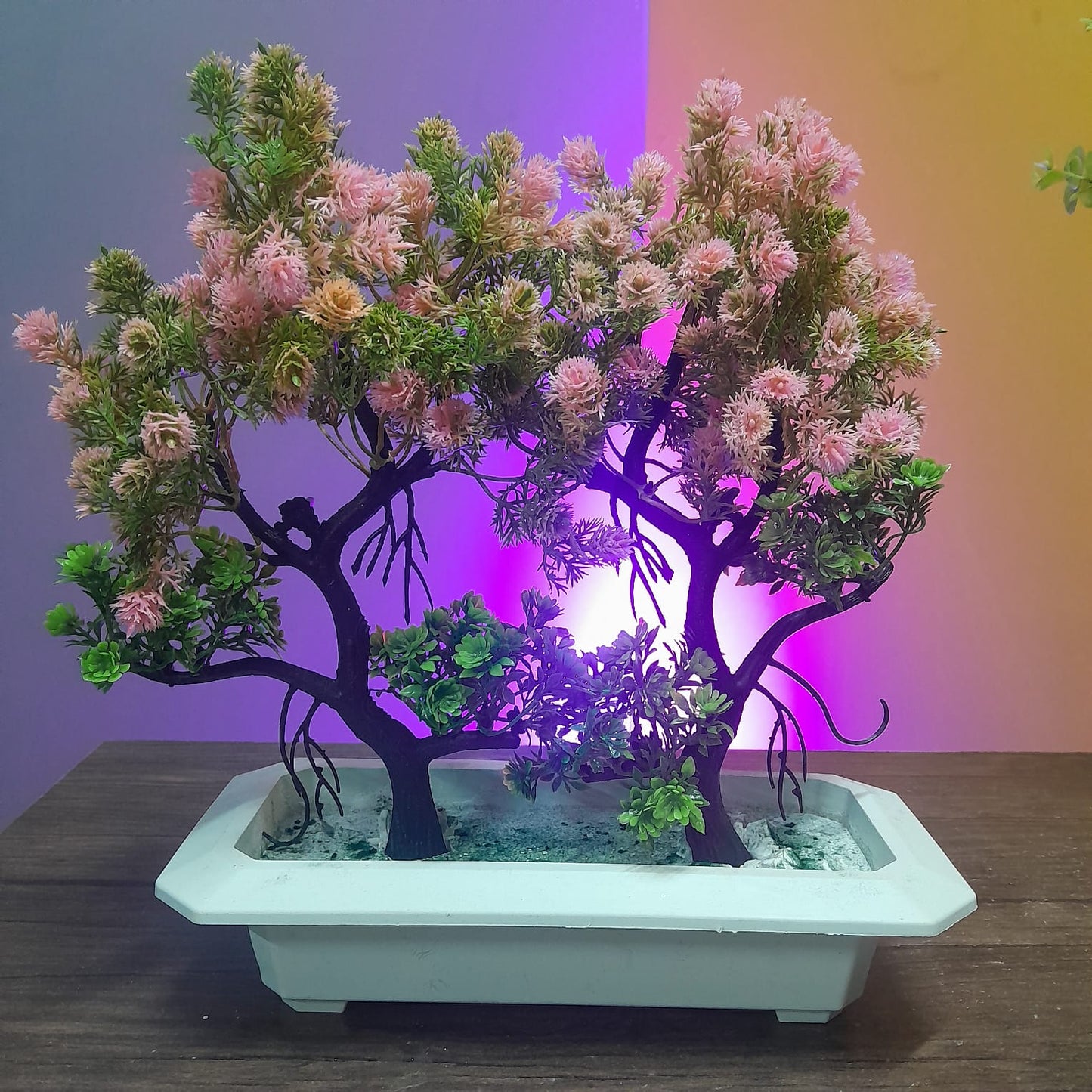 FLOWER VASES (Deal 2 )